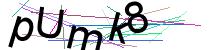 Dieses Bild enthält ein Buchstaben-Zahlen-Rätsel und dient dazu, Spam-Programme fernzuhalten. 